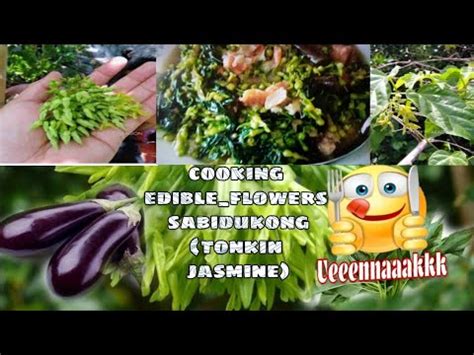 Sabidukong, the edible wild flower with so many names..